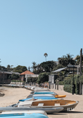 Microfibre Printed Tea Towel | Watsons Bay I